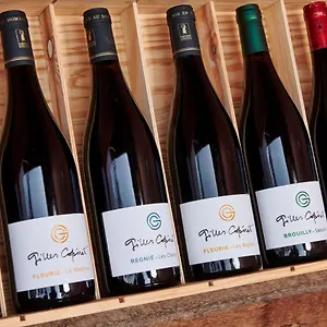 Domaine Gilles Coperet- Artisan-vigneron- D'hotes Les Glycines - Bed & Breakfast